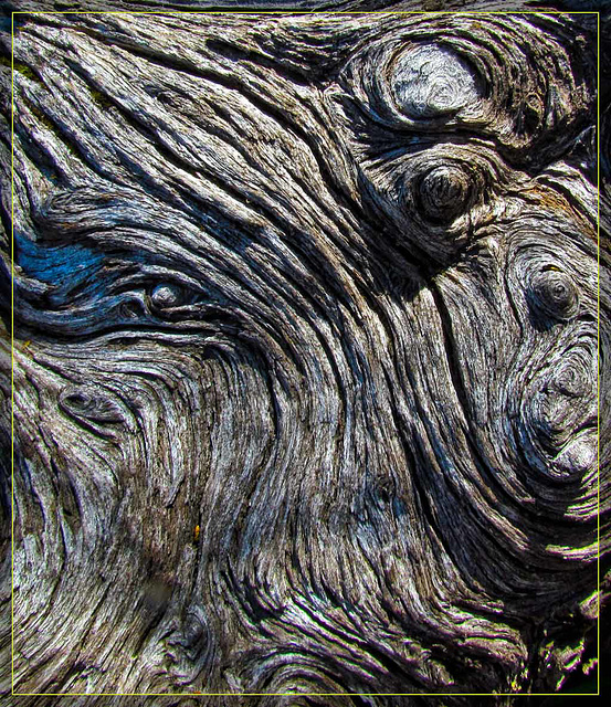 Driftwood Texture 2