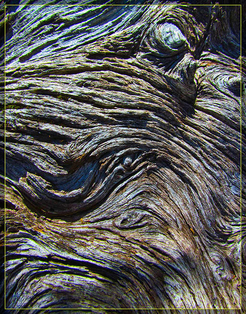 Driftwood Texture 3