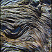 Driftwood Texture 3