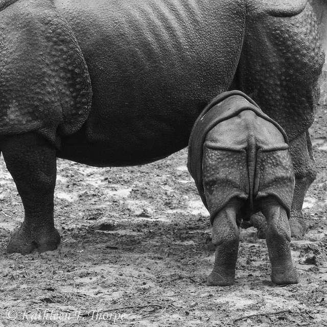 Feeding Time at the Zoo - But, Mom I wanted Coke! - Explore January 6, 2012 - #259