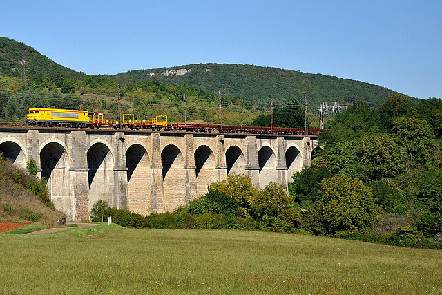 Nez cassé jaune Infra sur la PLM