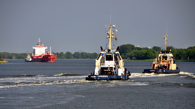 Tugs at the Orange Locks at IJmuiden