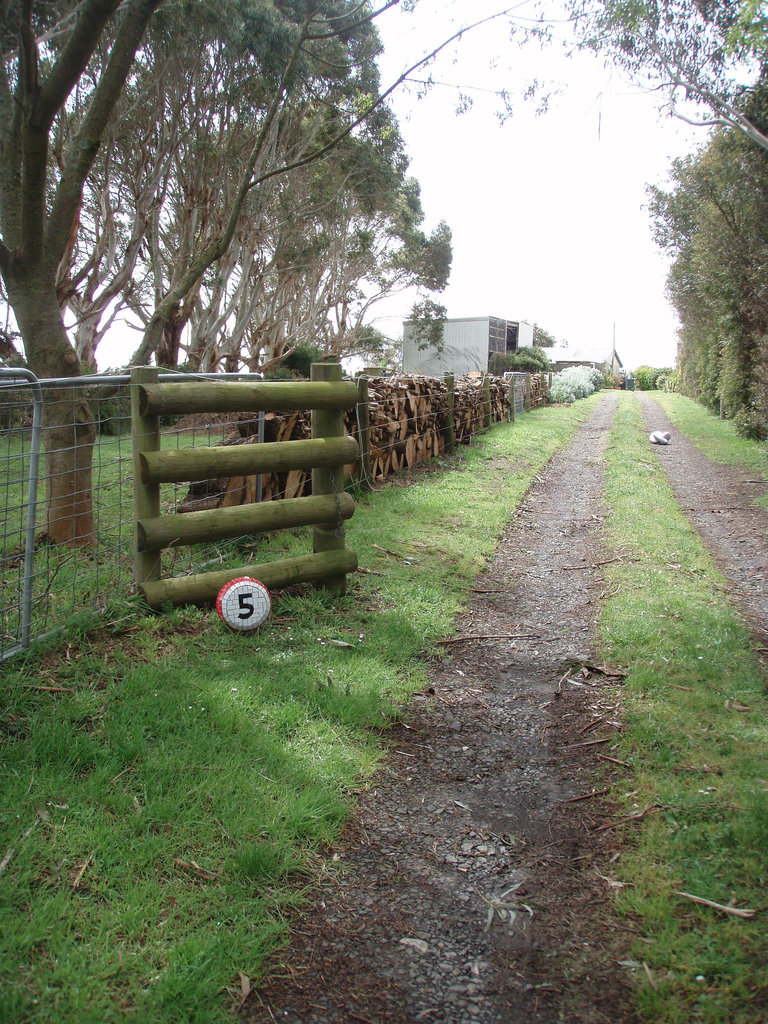 5kmph sign with driveway