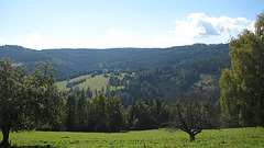 Landschaft bei Wölfnitz