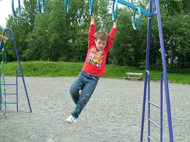 Finn in Tymon Park
