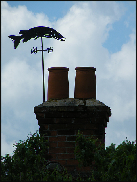 fishy wind vane