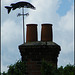 fishy wind vane