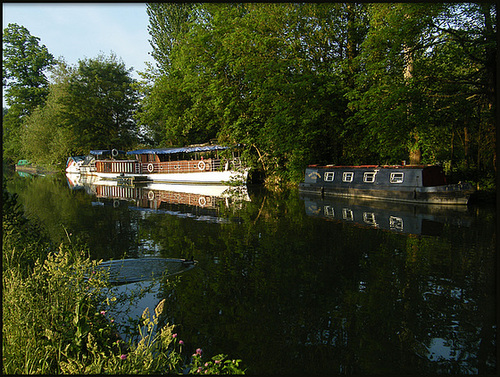 houseboats at Medley