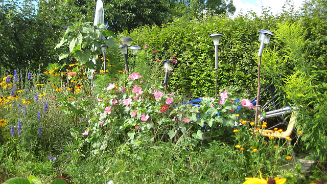 Blumen beim neuen Sitzplatz