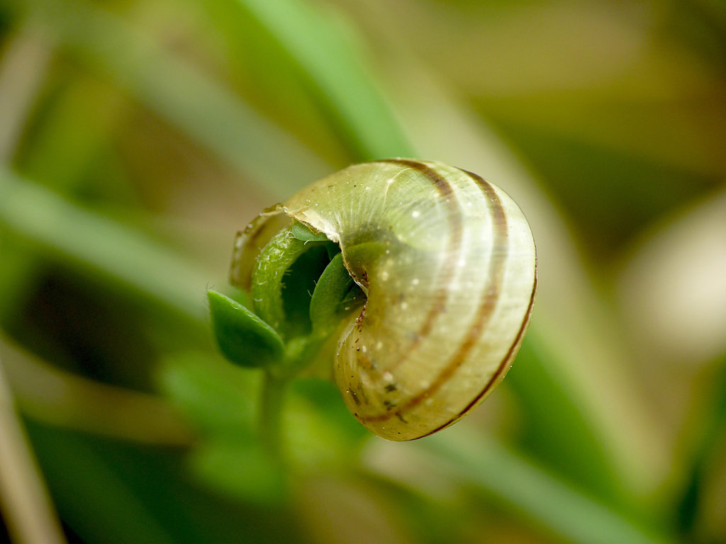 Come Out Of Your Shell