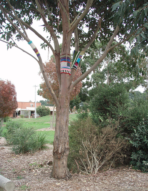 guerilla knitting Fish Creek 2