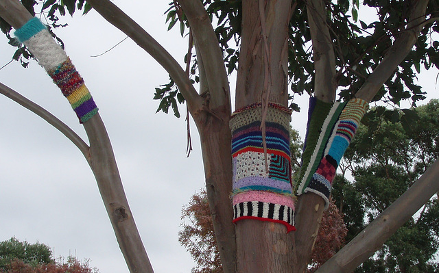 guerilla knitting Fish Creek 1