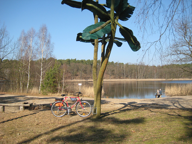 Palmen am Holbecker See - Klimawandel