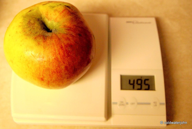 Howgate Wonder apple Howgate Wonder apple