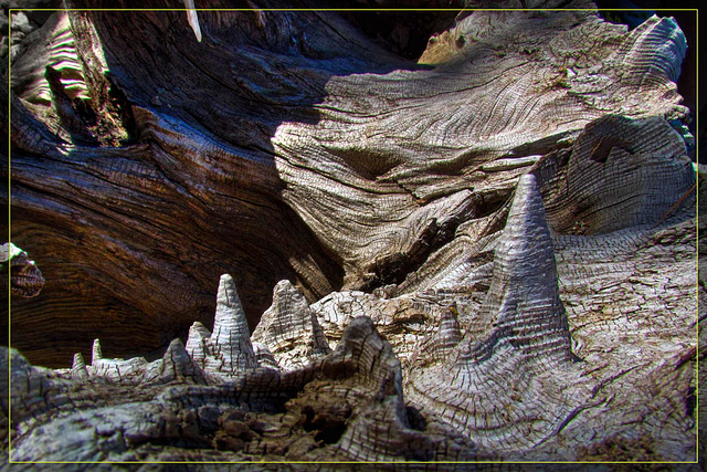 Burl Stalagmites