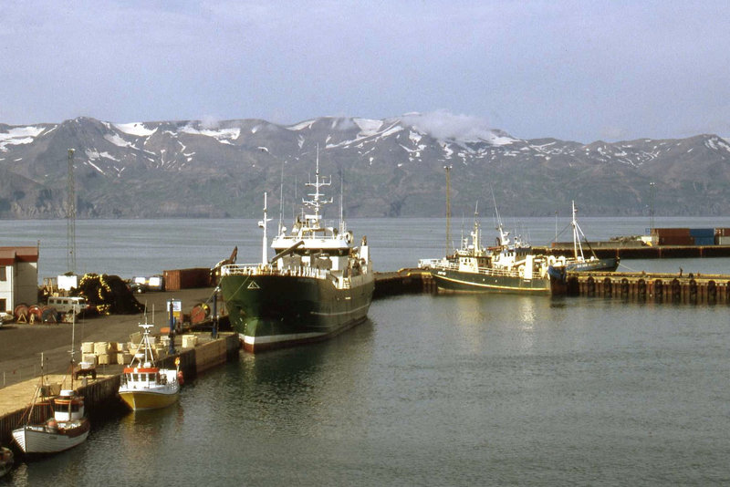 Fishing Boats in Husavik Harbour #2