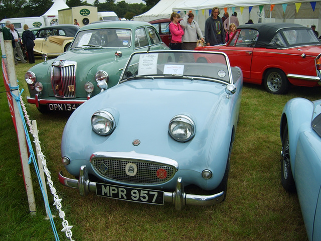 hpomraug293031 (1323)