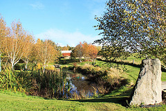 Autumn colours by the pond