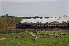 Passing Beeston