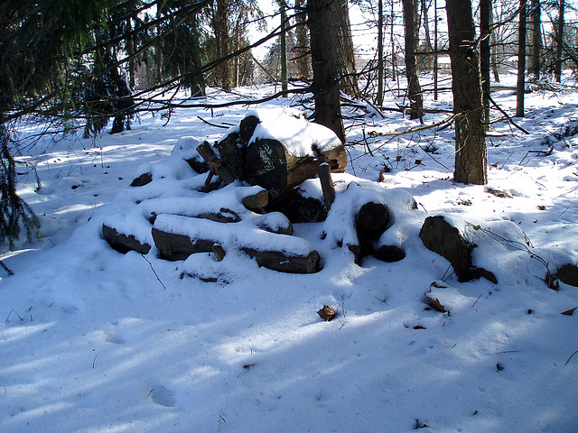 Woodpile