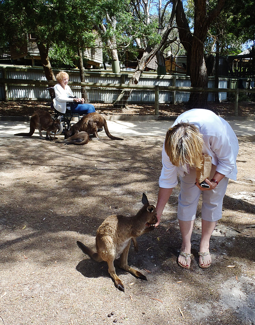 Rooth & the roos