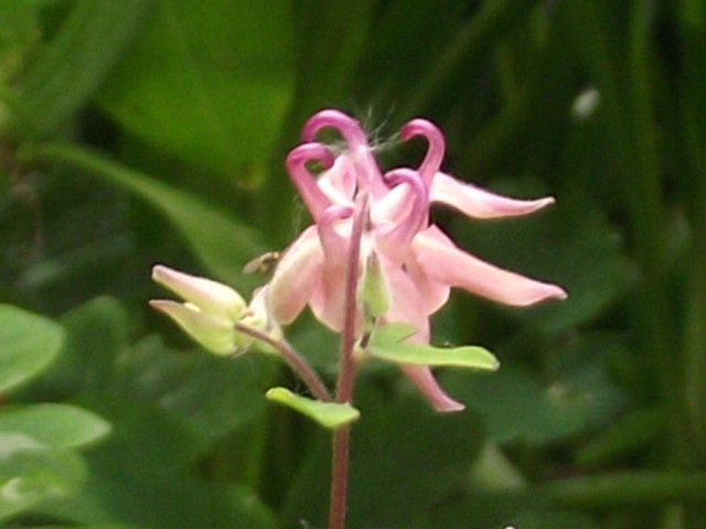 DSCF0561 (2)