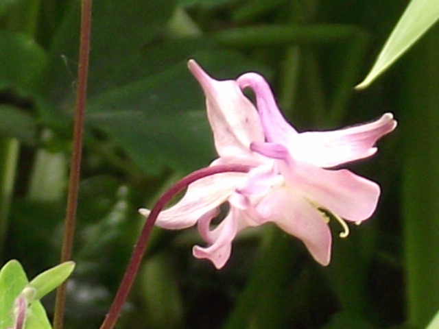 DSCF0562