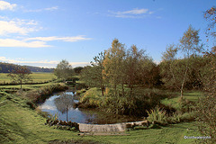 Autmn colours by the pond