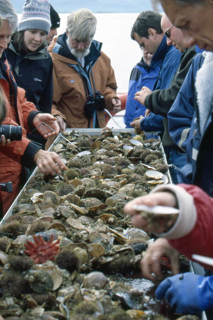 Sampling the Shellfish