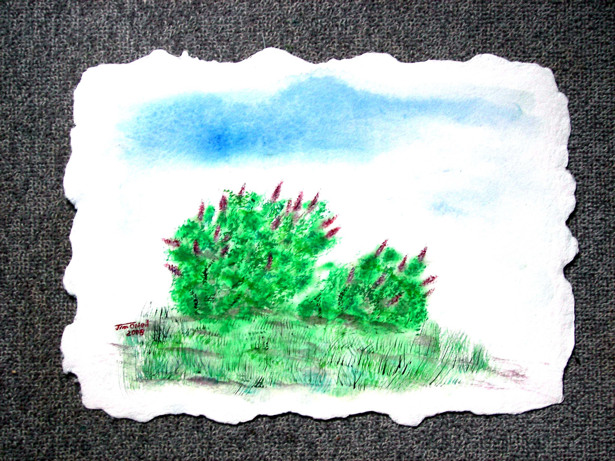 The Lilac Bushes