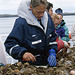 Sorting Out the Shellfish