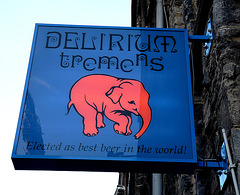 'Delirium Tremens' Pub Sign