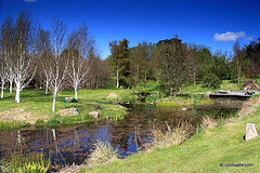 Bright May sunshine - using "Medium" ND Filter