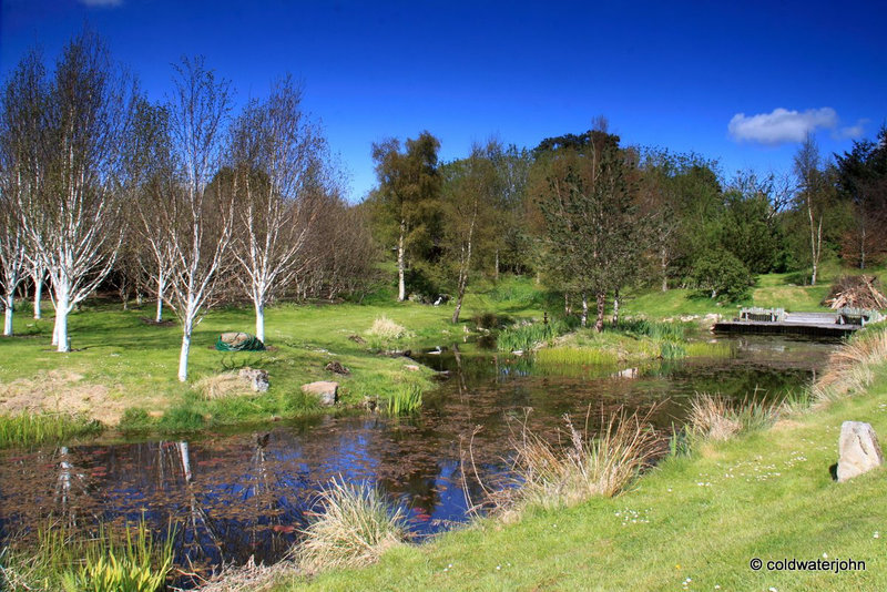 Bright May sunshine - using "Medium" ND Filter