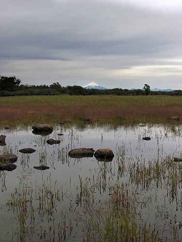 nighthikeltr-vernalpool2