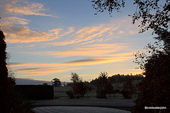 Waking to a Frosty Dawn #1