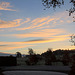 Waking to a Frosty Dawn #1