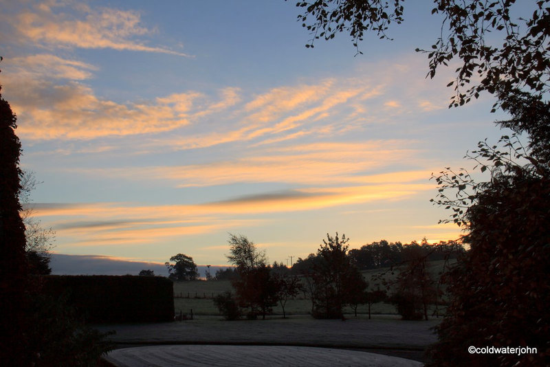 Waking to a Frosty Dawn #1