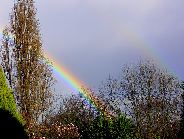 Double rainbow