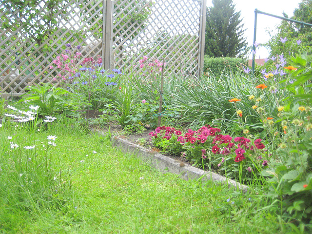 Blumenrabatt mit Stiefmütterchen