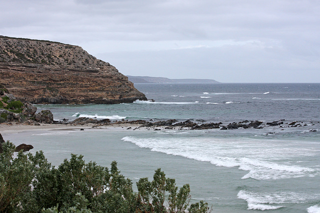 Grey Day at Seal Bay