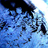 Jack Frost's Work