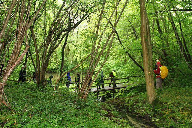 Randonnée 2014 - Bois des Bordes Chalonges