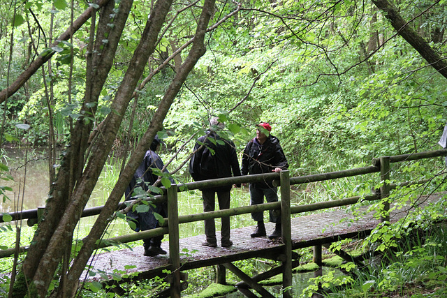 Randonnée 2014 - Bois des Bordes Chalonges