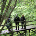 Randonnée 2014 - Bois des Bordes Chalonges