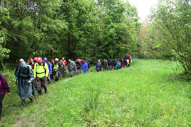 Randonnée 2014 - Bois des Bordes Chalonges