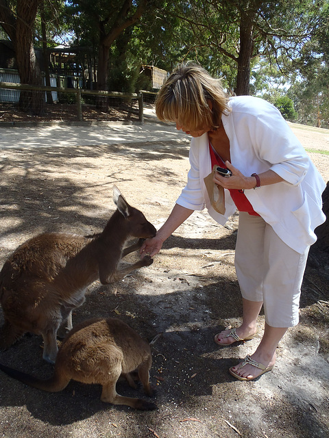 Rooth & the roos