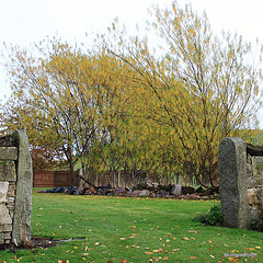 Garden Colours - late October