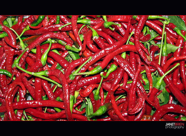 Chili Peppers