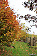 Garden Colours - late October